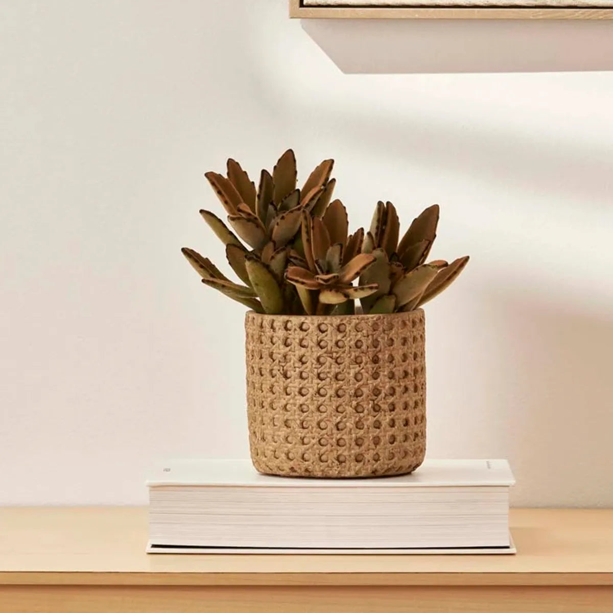 Cachepot Decorativo Bege em Cimento Texturizado Aurora