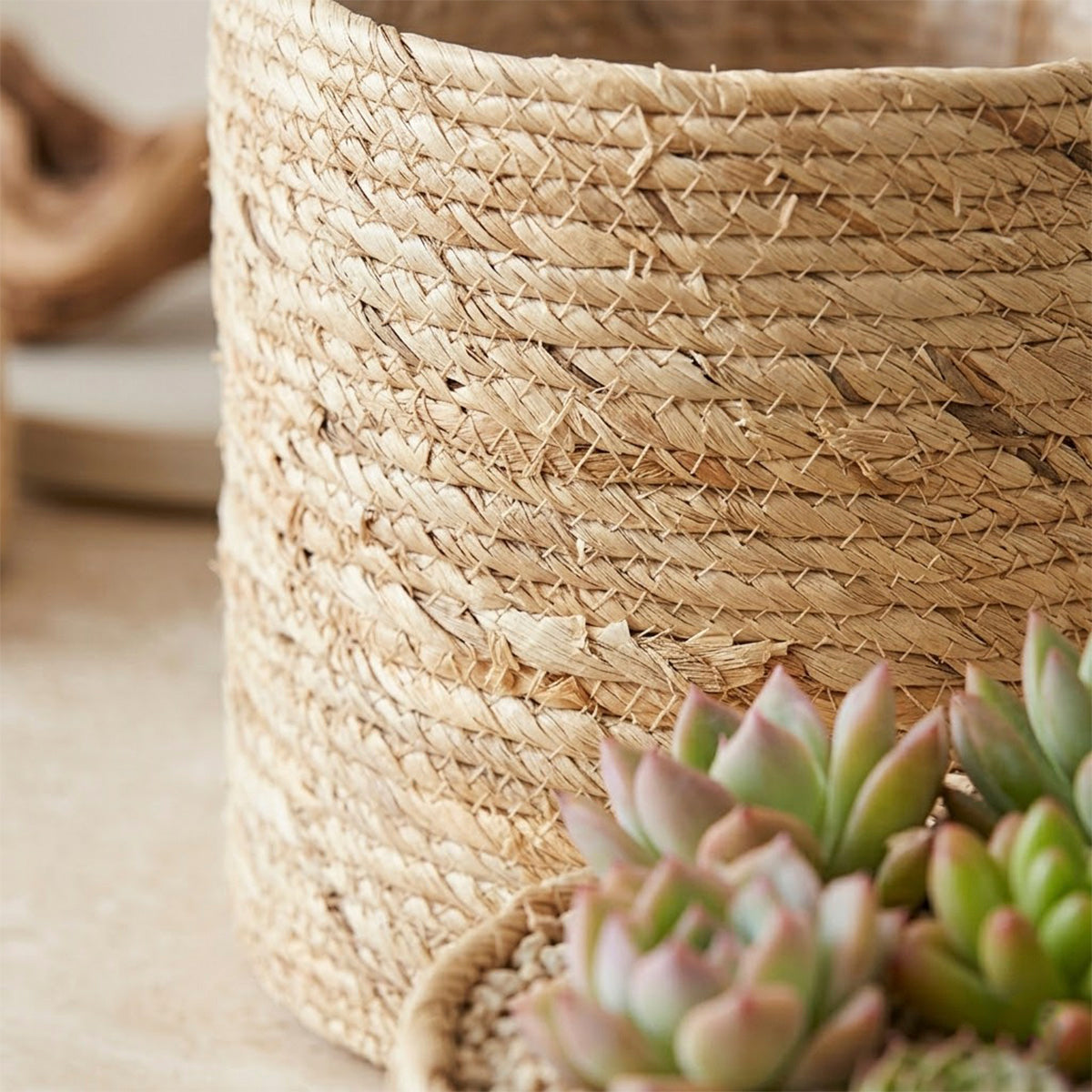 Kit 4 Cachepots em Fibra Natural Raizes