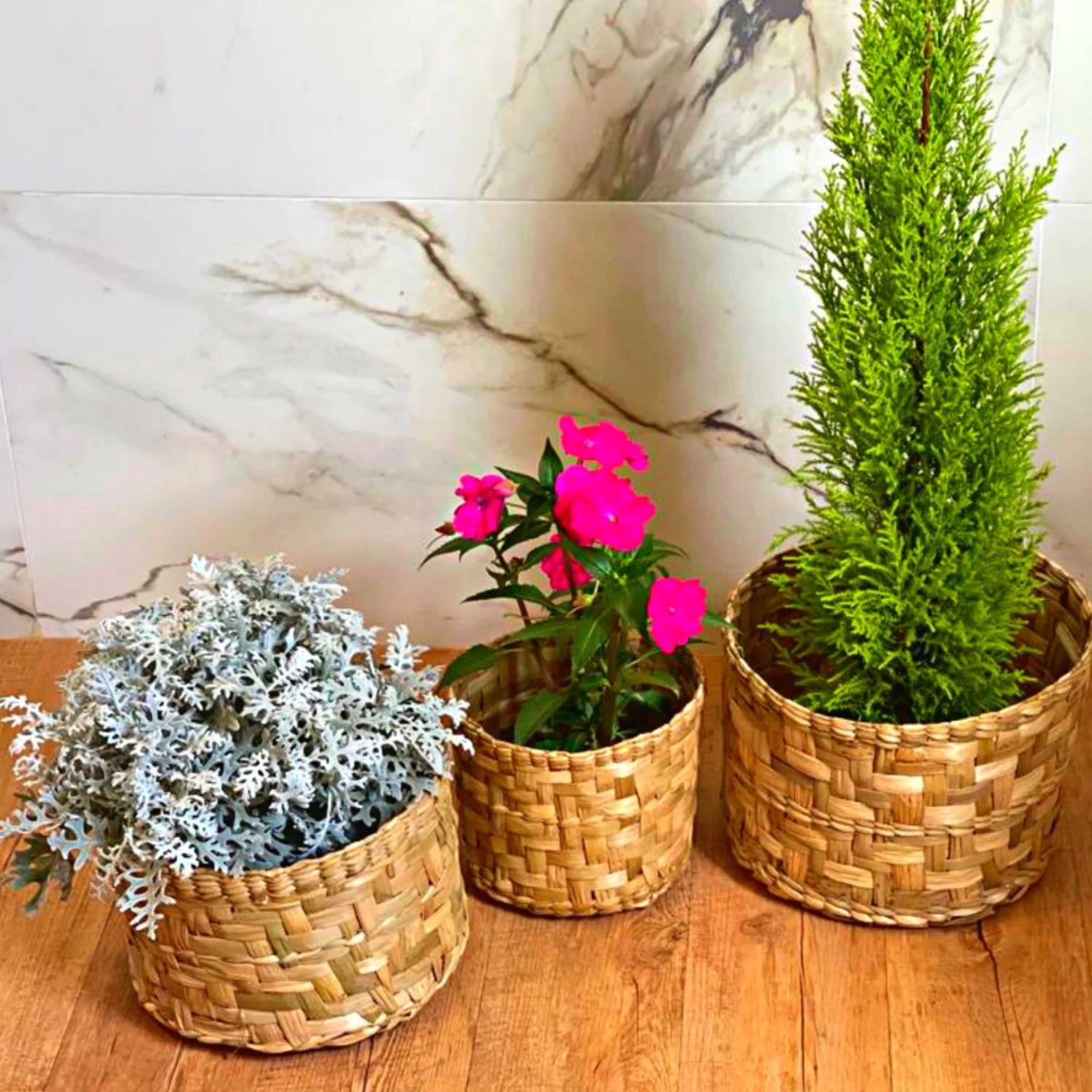 Kit de Vaso Cachepot Planta Cesto Decoração - 3 Peças