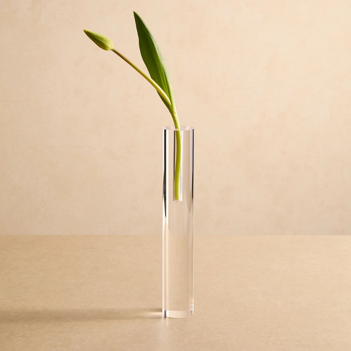 Vasos Lumielle em acrílico cristal, em modelo reto com folha verde alongada.