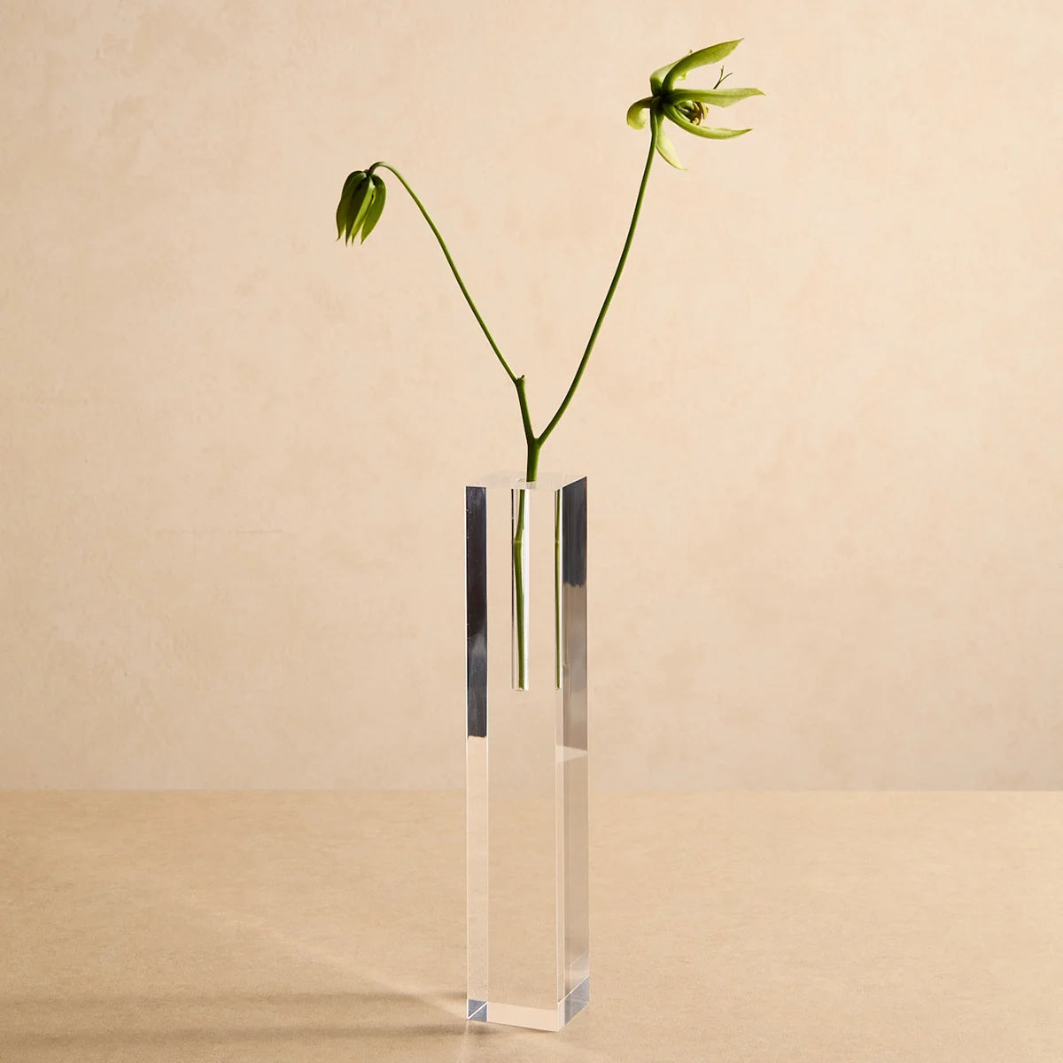Vasos Lumielle em acrílico cristal, em modelo alto com ramo delicado.