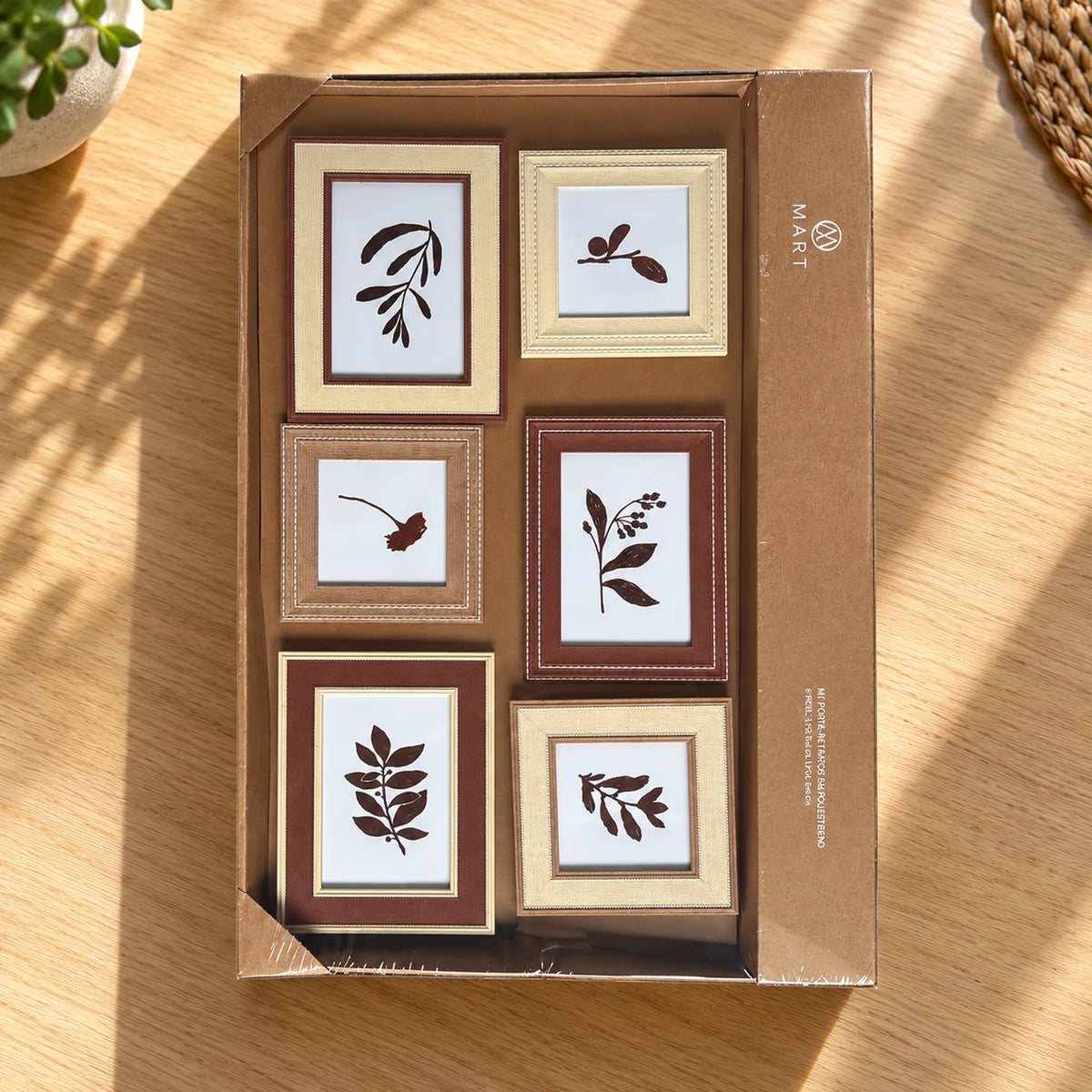 Kit Herbário com seis peças na caixa kraft com visor transparente