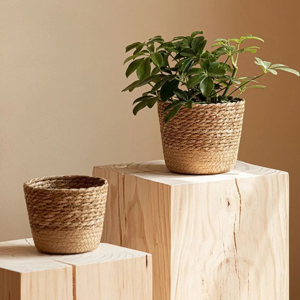Cachepot de Rattan Natural Artesanal