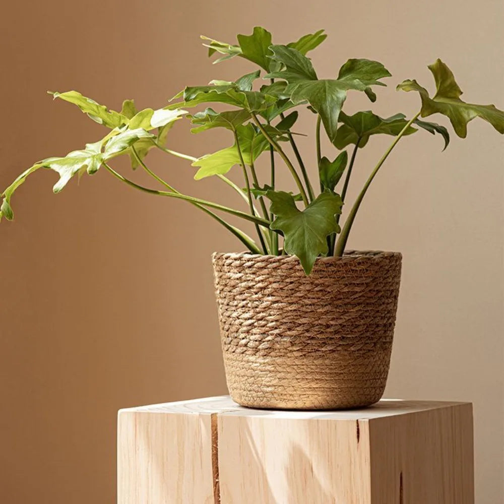 Cachepot de Rattan Natural Artesanal
