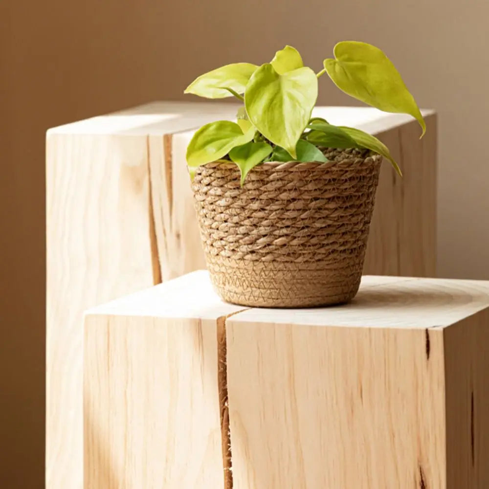 Cachepot de Rattan Natural Artesanal