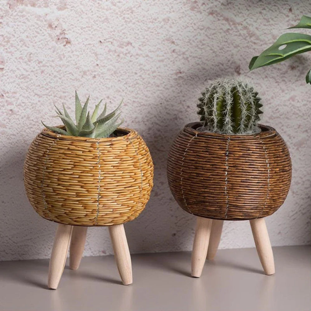 Cachepot de Rattan com Suporte de Madeira
