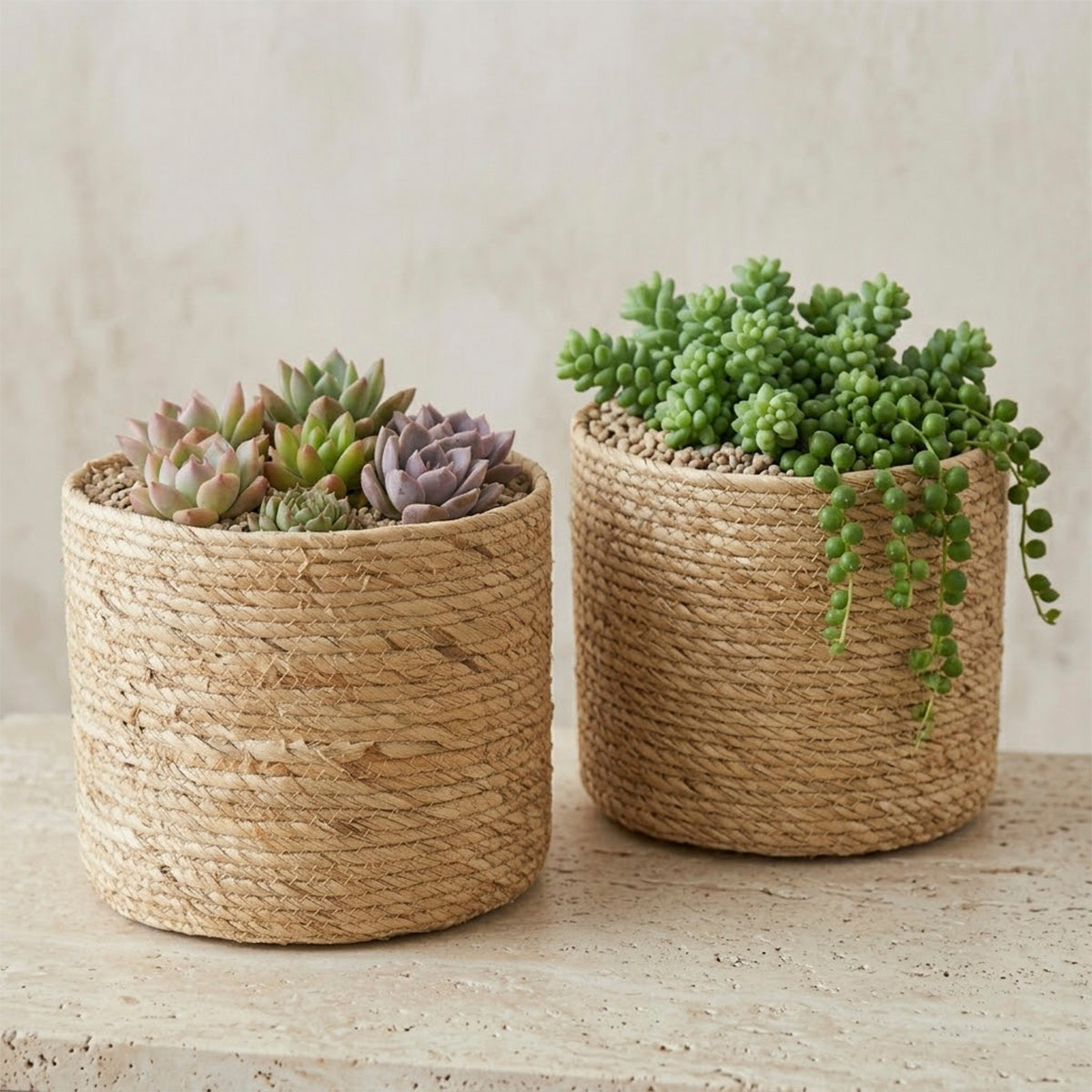 Kit 4 Cachepots em Fibra Natural Raizes