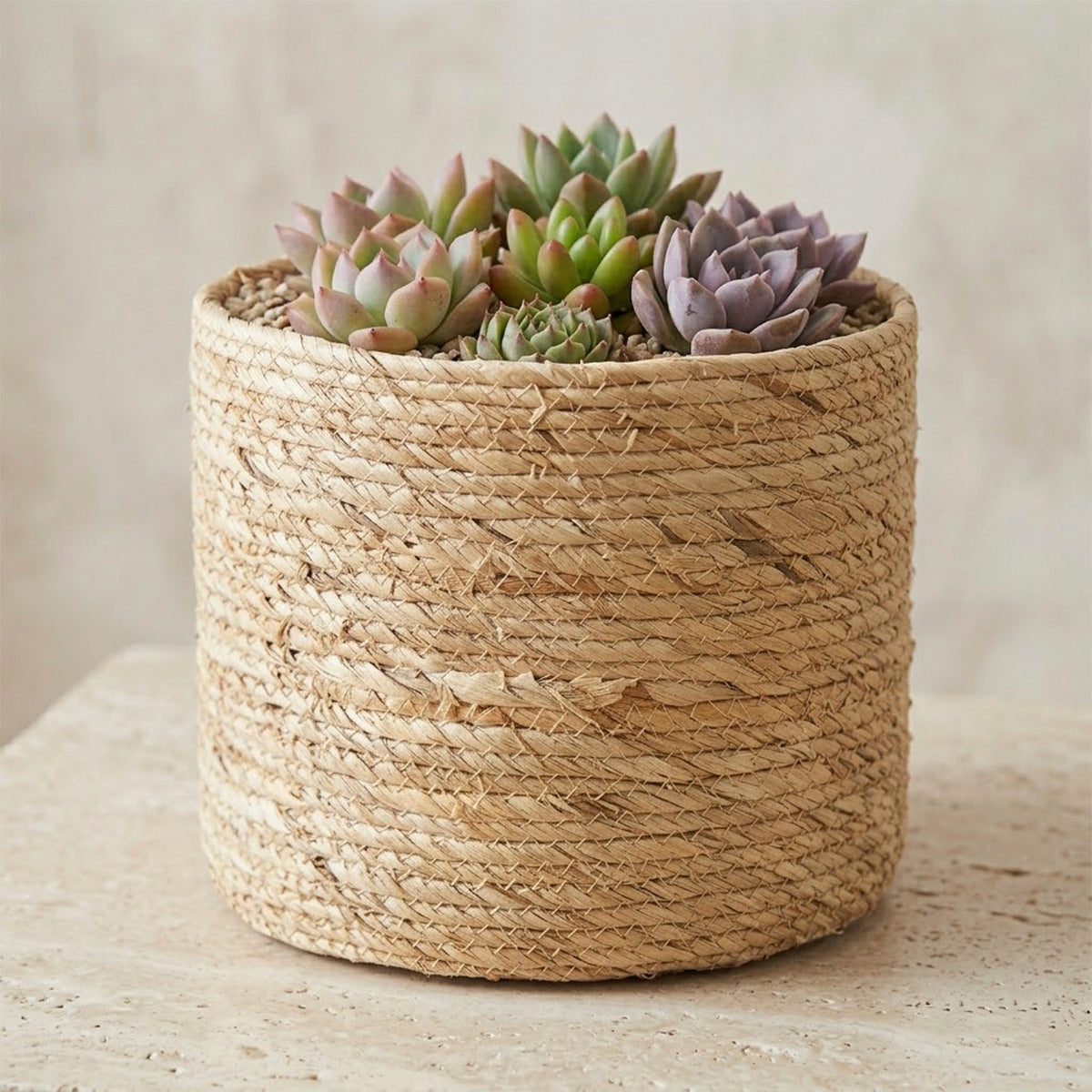 Kit 4 Cachepots em Fibra Natural Raizes