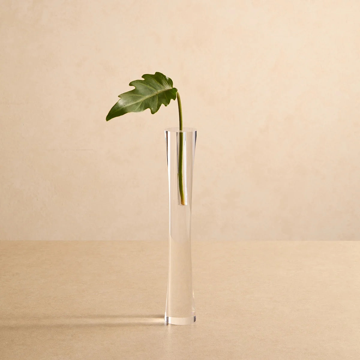 Vasos Lumielle em acrílico cristal, em modelo cilíndrico com folha verde larga.
