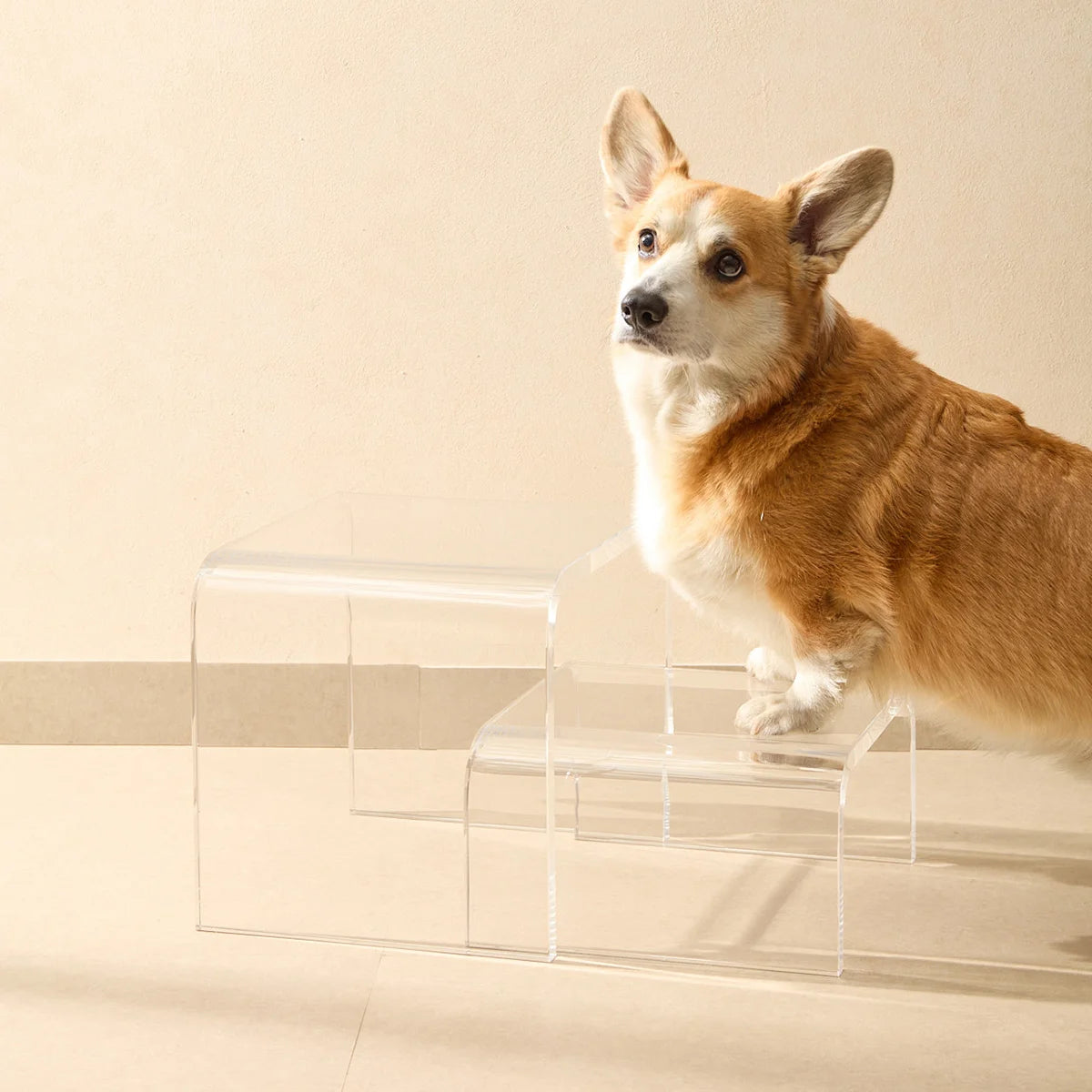 Escada modular Altea em acrílico cristal, com cachorro sobre um dos degraus.